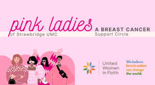 Pink Ladies Header Missions Page 303x166