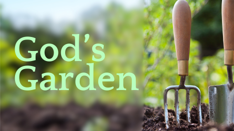 God's Garden Adaptive Ministry